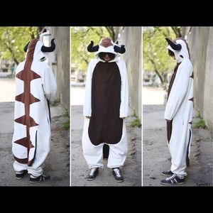 Appa costume